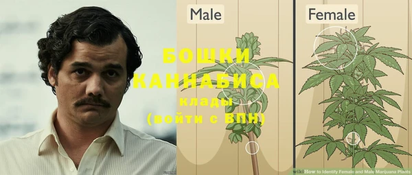 стафф Вяземский