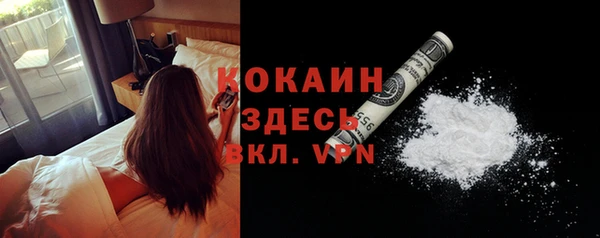 молекула духа Михайлов