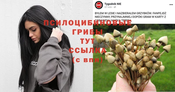 стафф Горняк
