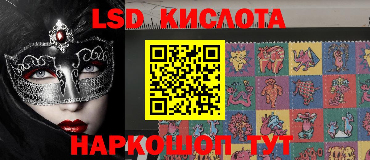 Псилоцибиновые грибы Губкин