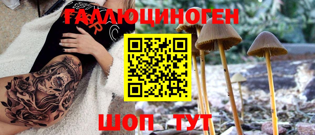 Галлюциногенные грибы Magic Shrooms  закладка  Губкин  Псилоцибиновые грибы Cubensis 
