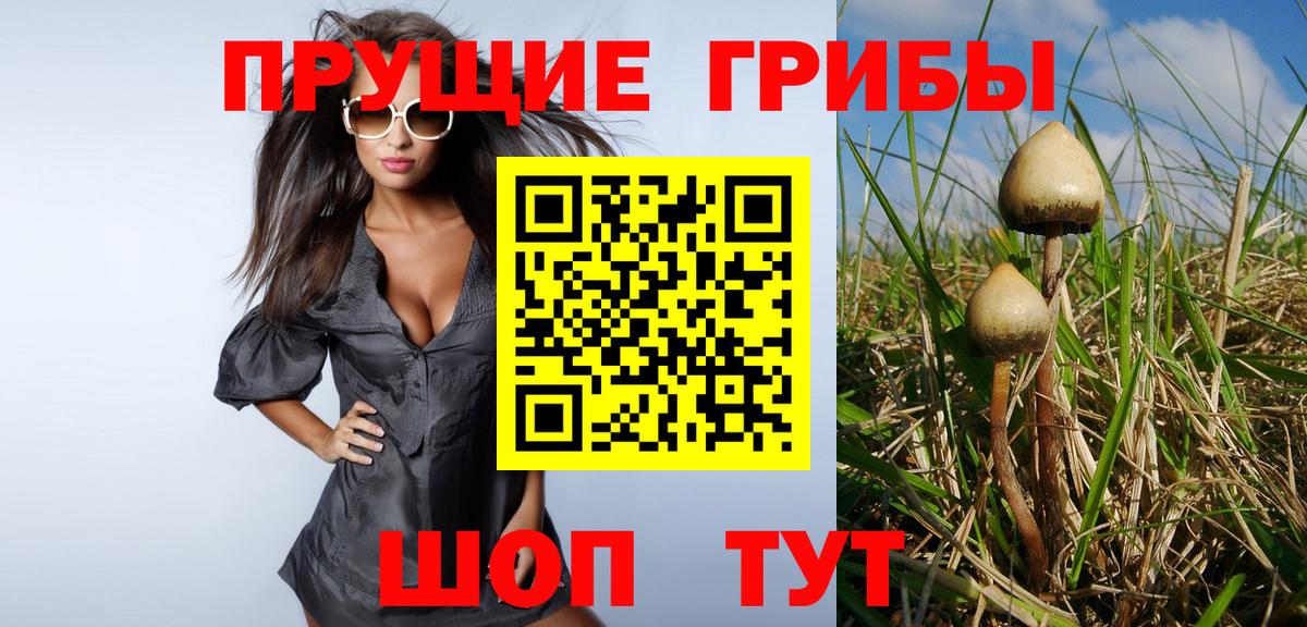 Губкин  Псилоцибиновые грибы ЛСД  Вход с VPN 