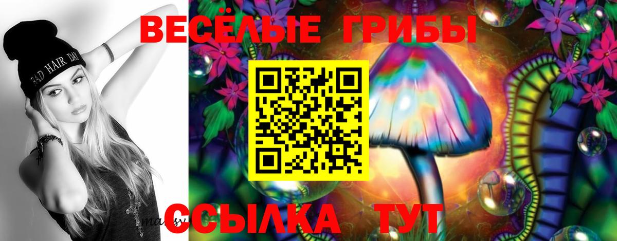 Галлюциногенные грибы Psilocybine cubensis Губкин